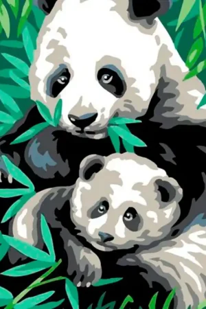 Professionale Canovaccio Royal Paris - Panda - Anchor