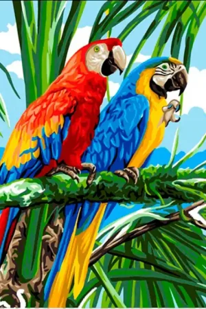 Canovaccio Royal Paris - Macaws - Anchor Ultimissimo Modello