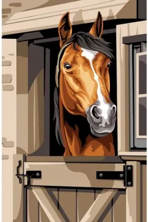 Canovaccio antico - Il box - Margot de Paris Compra Adesso