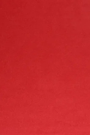 Consegna Rapida Ultra Suede - Suedine 21,5x21,5x0,7 cm Scoundrel x1