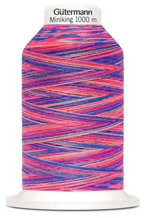 Offerta Del Giorno Filo per cucire Gütermann Miniking Multicolor