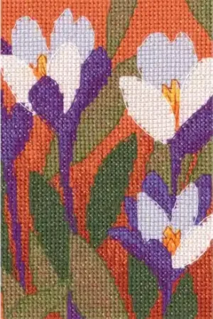 Prezzo Scontato kit ricamo a punto croce - Rivelazioni di colori 5 - RTO