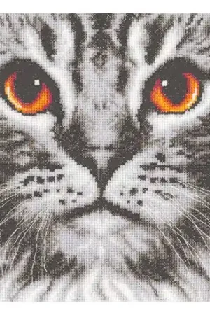 kit ricamo a punto croce - Gatto - Vervaco Popolare