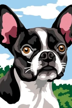 Kit di tela per bambini - Cuscino da ricamare Buldog  - Margot de Paris Esclusivo