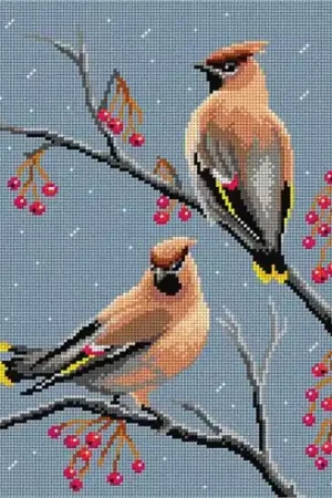 Canovaccio antico - Bottacci - Orchidéa Non Perdere