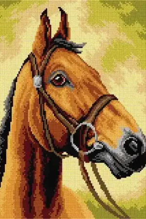 Canovaccio antico - Cavallo - Orchidéa Acquista Ora