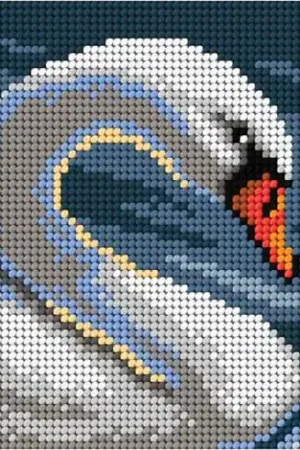 Canovaccio antico - Cigno - Orchidéa Compra Adesso