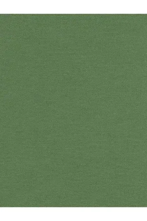 Kona Cotton Dill, Tessuto Verde Aneto Tinta Unita - Robert Kaufman Non Perdere