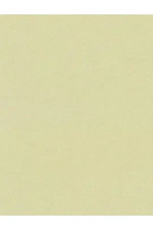 Kona Cotton Eucalyptus, Tessuto Verde Eucalipto Tinta Unita - Robert Kaufman Promozione Esclusiva