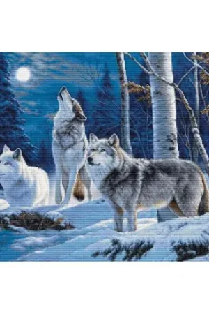 kit ricamo a punto croce - Il ululato dei lupi al chiaro di luna - Luca-S Ordina Subito