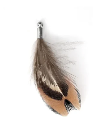 Miglior Prezzo Plume de faisan rayée avec embout rhodié pour bijoux fantaisie 35 mm Marron/Noir x1