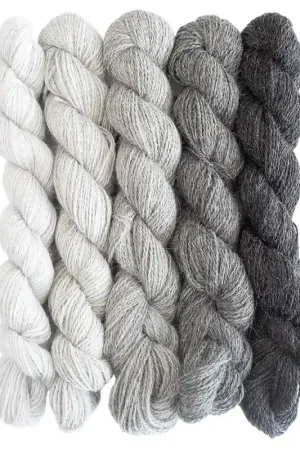 BC Garn Baby Alpaca 10/2 Set Spedizione Gratuita