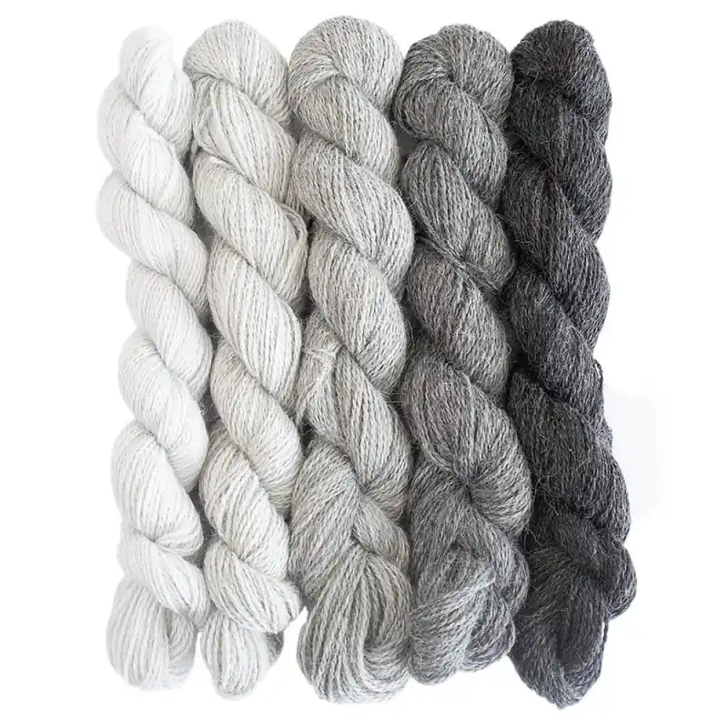 BC Garn Baby Alpaca 10/2 Set Spedizione Gratuita