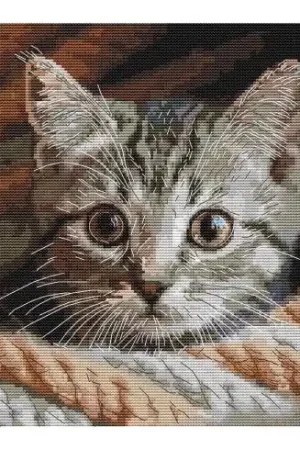 Economico kit ricamo a punto croce - Spia baffuta - Andriana