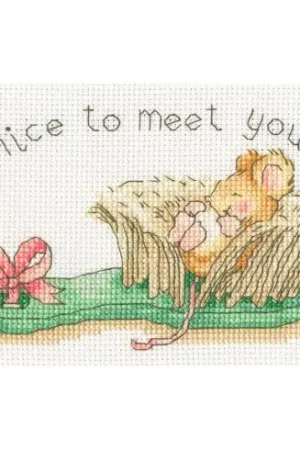 Kit bigliettini da ricamare - Piacere di conoscerti - Bothy Threads Prezzo Di Fabbrica