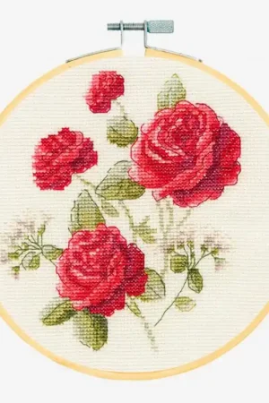 Kit di Punto Croce - Rose - DMC A Buon Prezzo