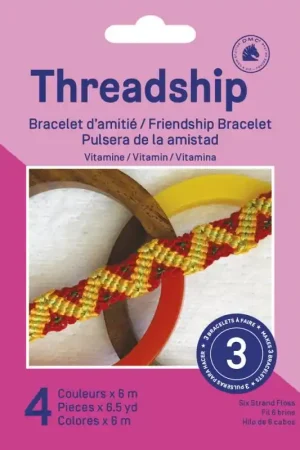 Novità Set braccialetti dell’amicizia - Vitamine - DMC