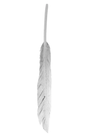 Plume argentée 150 mm pour la décoration et les loisirs créatifs x1 Prezzo Di Fabbrica