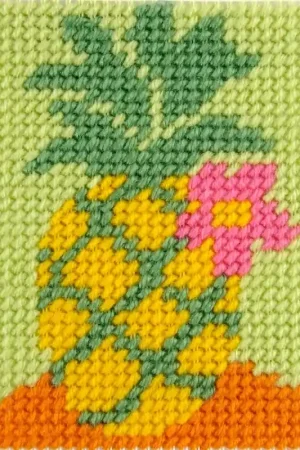 Kit di ricamo tappezzeria - Ananas - DMC Ultimissimo Modello