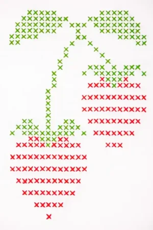 Must-Have Kit di Punto Croce XXL - Fragole - Anchor