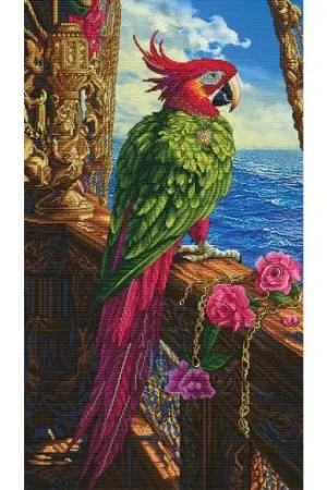 Sconto kit ricamo a punto croce - Pirata - Nova Sloboda