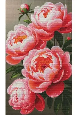 kit ricamo a punto croce - Peonie lussureggianti - Nova Sloboda Sconto