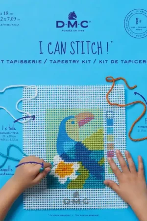 Promozione Esclusiva Kit di ricamo tappezzeria - Il Tucano - DMC