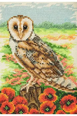 Kit di Punto Croce - Gufo - Anchor Reso Gratuito