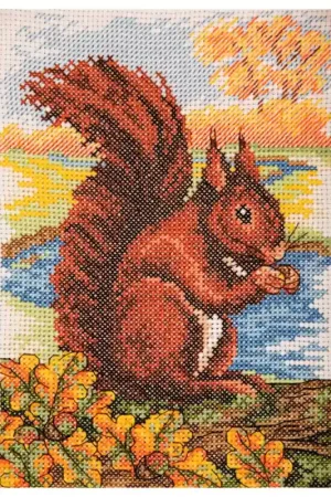 Kit di Punto Croce - Scoiattolo - Anchor Compra Adesso