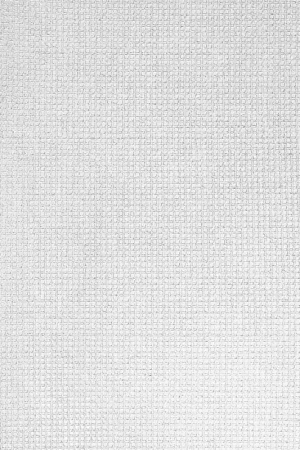 Toile à broder Canevas Pénélope DMC 4 pts/cm Blanc x10cm Miglior Prezzo