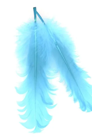 Plume Azur 15 cm x1 Nuovo Arrivo