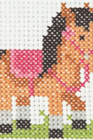 Anchor 1st Kit di Punto Croce - Pony Economico