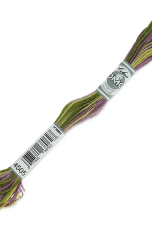 Acquista Ora Fil à broder DMC Mouliné Coloris Multicolore Bruyère (4505) x8m