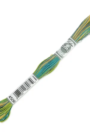 Fil à broder DMC Mouliné Coloris Multicolore Primavera (4506) x8m Ordina Subito