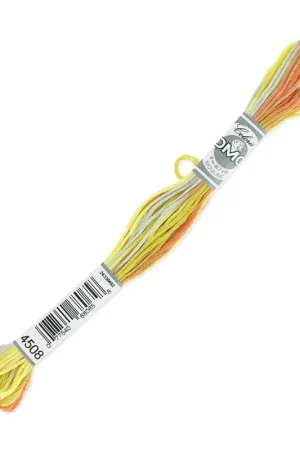 Fil à broder DMC Mouliné Coloris Multicolore Campagne givrée (4508) x8m Promozione Esclusiva