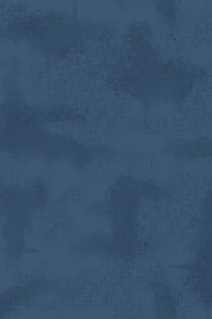 Professionale Riley Blake Designs, Tessuto Blu Shabby
