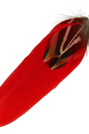 Vendita Finale Double plume avec embout 70 mm Rouge x1