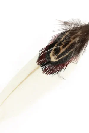 Bestseller Double plume avec embout 70 mm Blanc x1