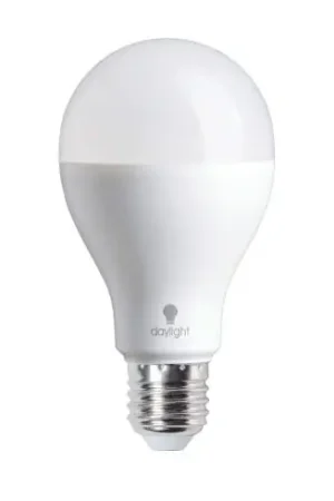 Lampadine - Lampadina LED da 19W - Daylight Prezzo Conveniente