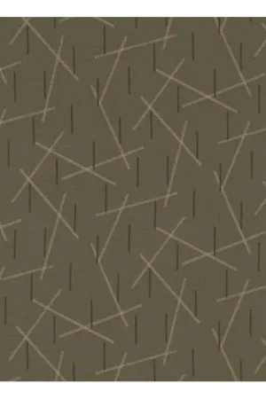 Di Tendenza 27th Centenary Collection by Yoko Saito, Tessuto Marrone con Righe