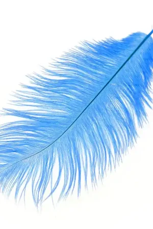 Plume d'autruche 15-20 cm Light Sapphire x1 Più Venduto