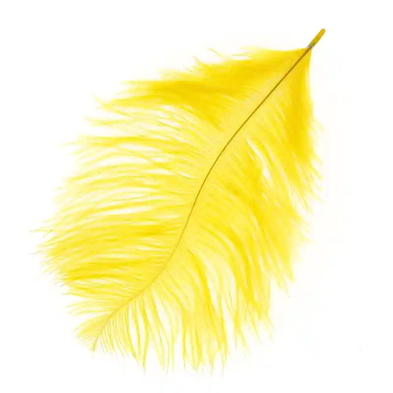 Compra Adesso Plume d'autruche 15-20 cm Tournesol x1