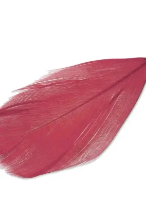 Plume 90 mm Rouge/rhodié x1 Offerta