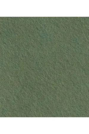 Prezzo Scontato Rectangle de feutrine Cinnamon Patch 2 mm 30x45 cm Epicea x1