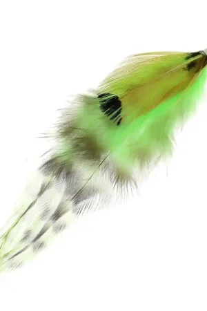 Novità Plume 11 cm Brun/Anis x1