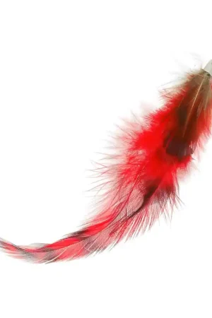 Plume 11 cm Brun/Rouge x1 Promozione Esclusiva
