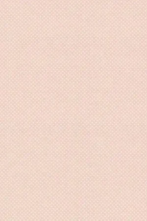 Miglior Prezzo Lecien Color Basic, tessuto rosa e pois bianchi