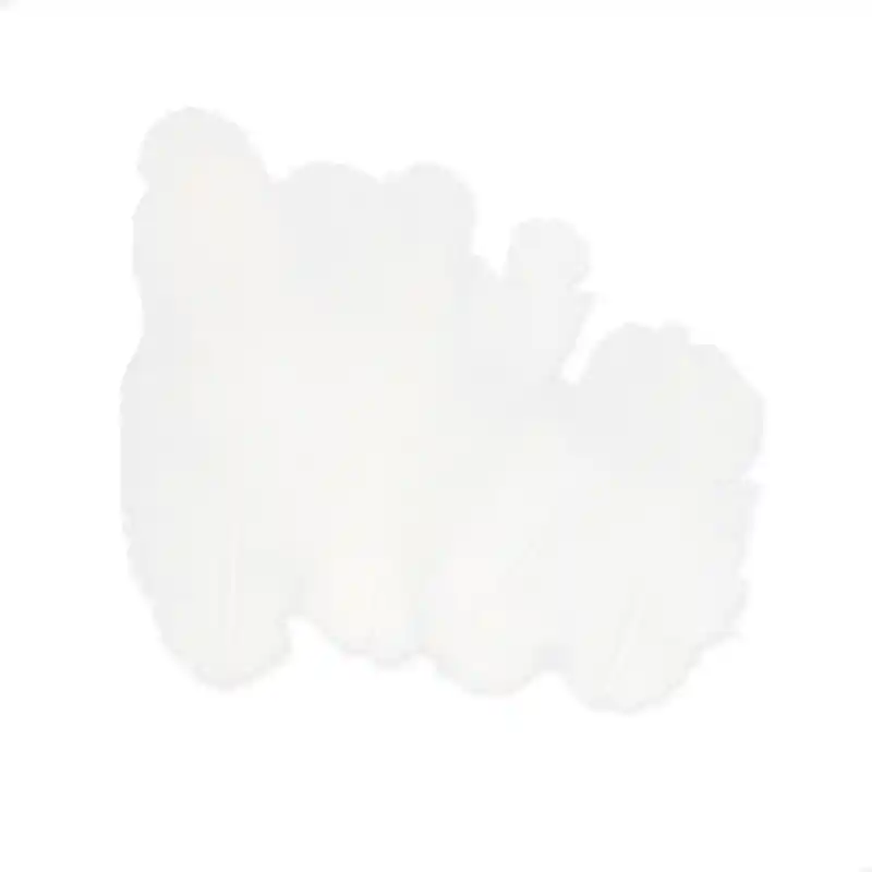 Saldi Assortiment de plumes de coq 7 cm Blanc x20