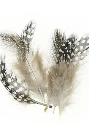 Ultima Occasione Assortiment de plumes de pintade 5 cm Naturel x10g