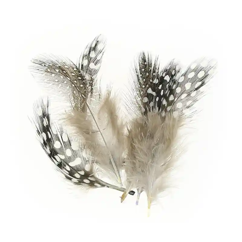 Ultima Occasione Assortiment de plumes de pintade 5 cm Naturel x10g